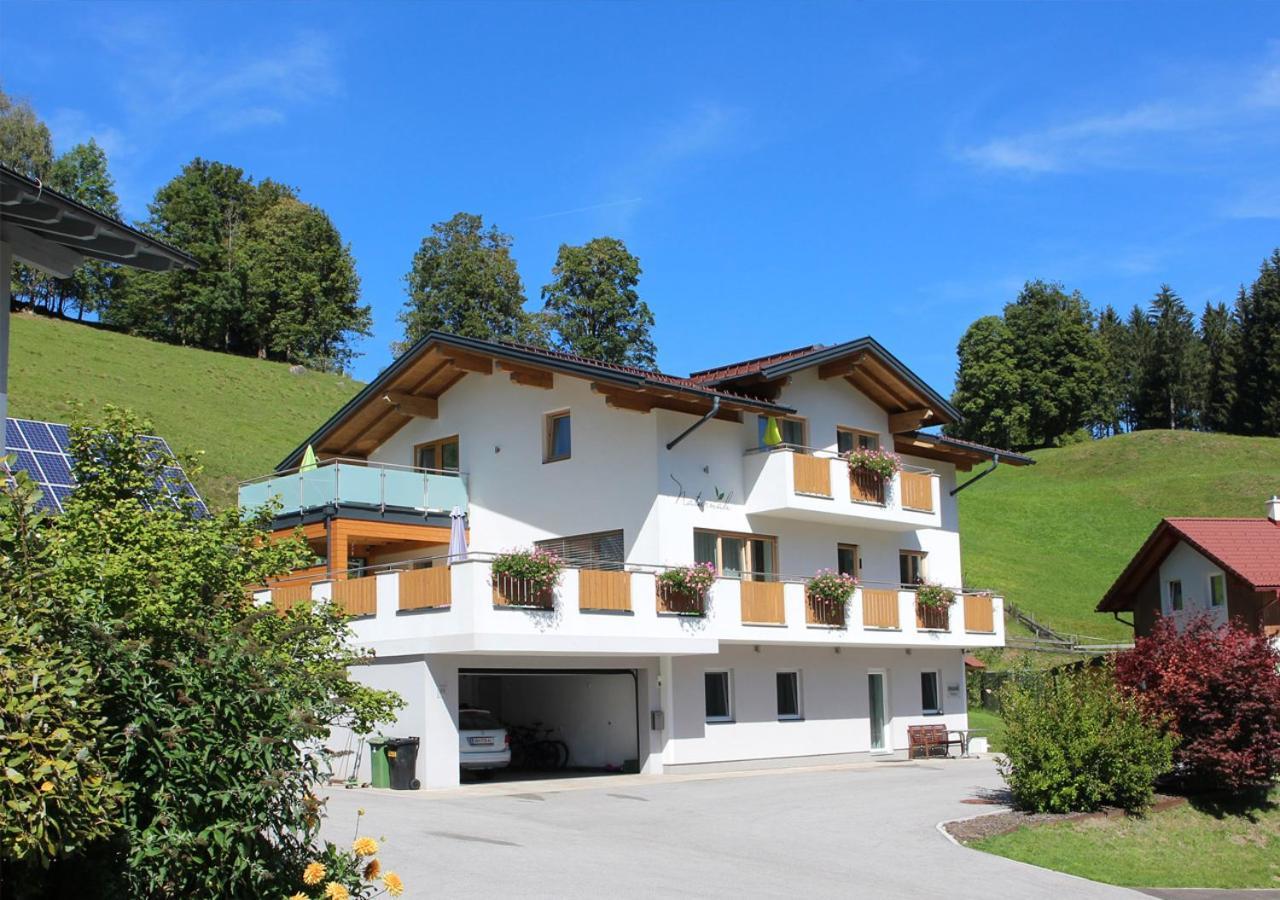 Appartements Naturnah Schladming Extérieur photo
